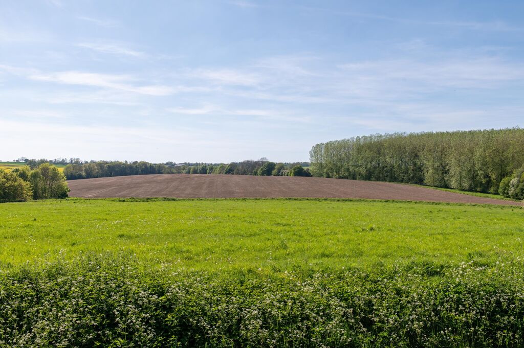 Image of Lot 4, Cropredy Lawn Farm, Oxfordshire, OX17