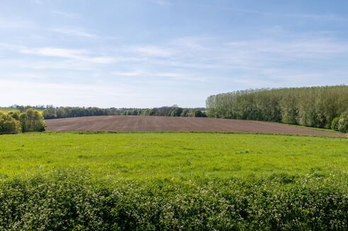Picture of Land for sale.