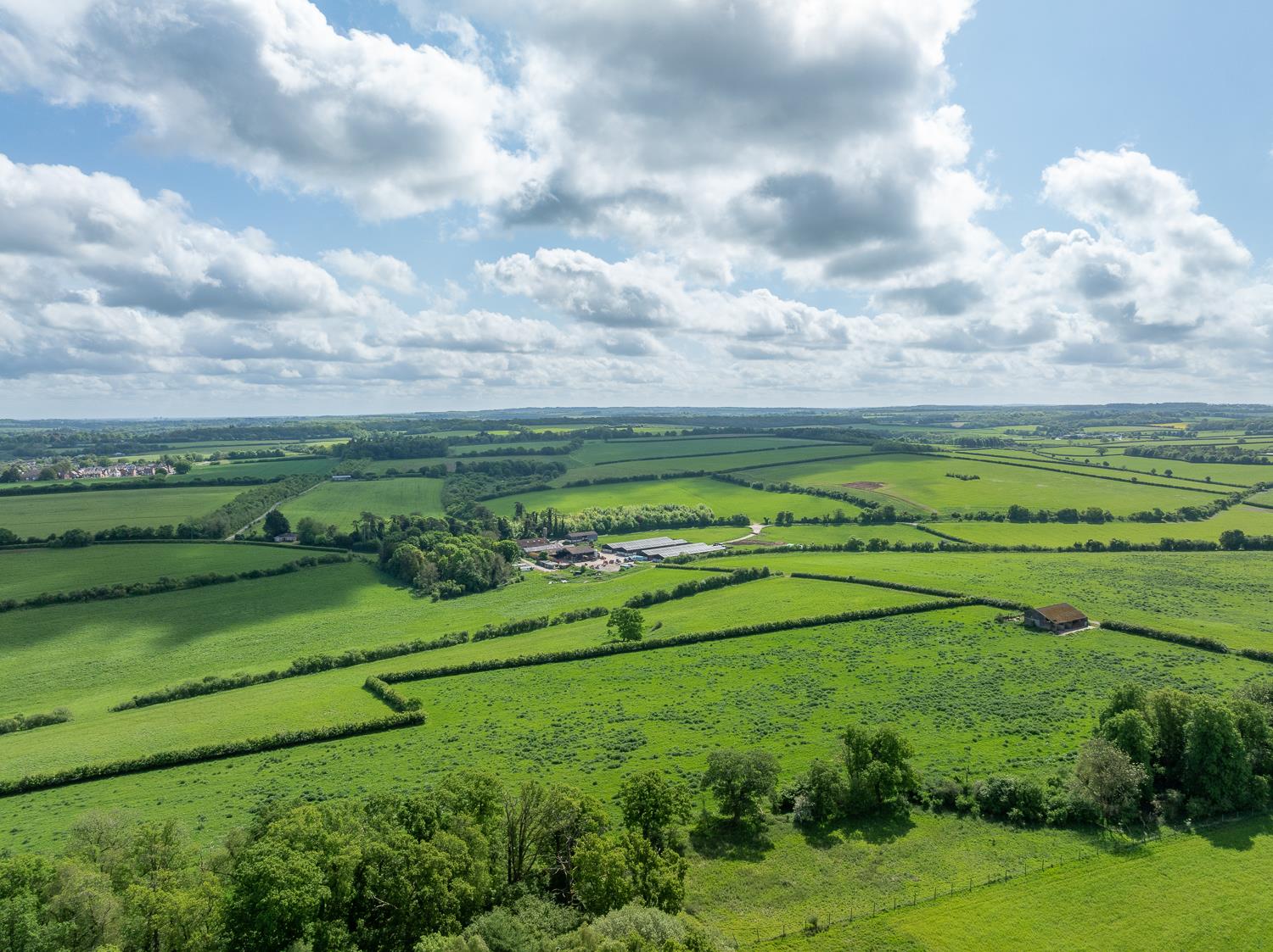 Click to view more details