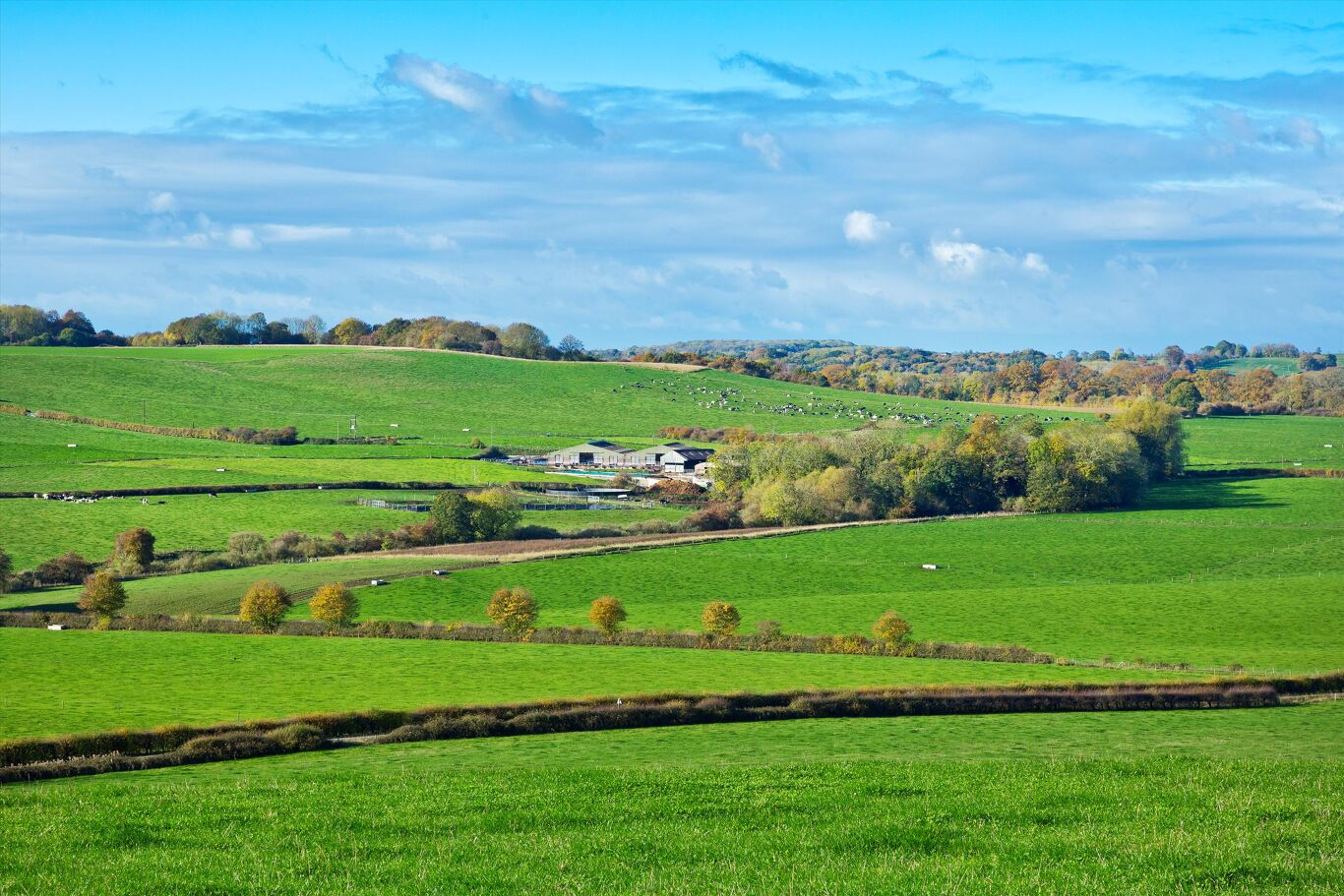 Image of Hallaton Road, Tugby, Leicester LE7