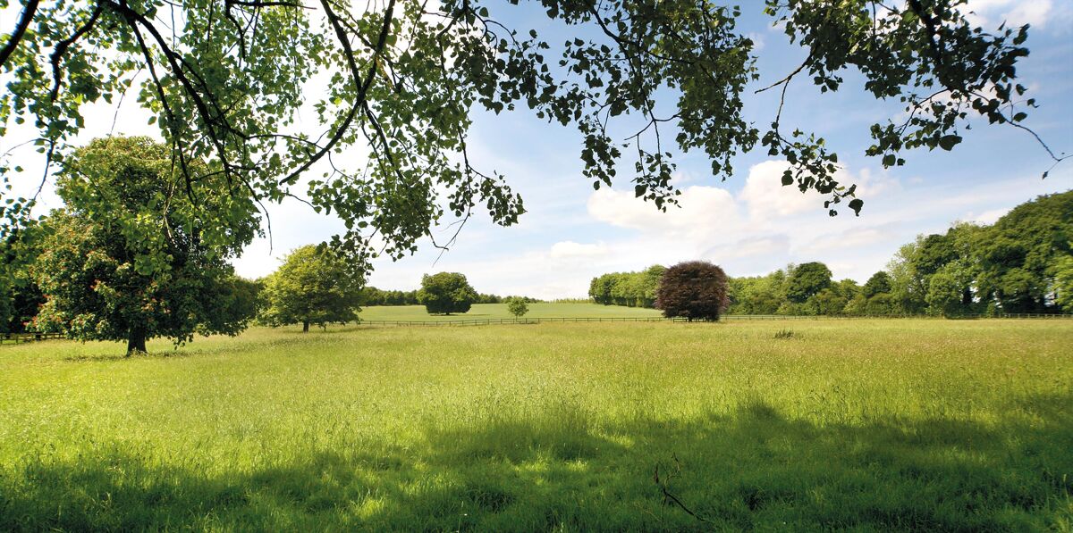 house for sale in Church Lane, Preston Candover, Basingstoke, Hampshire