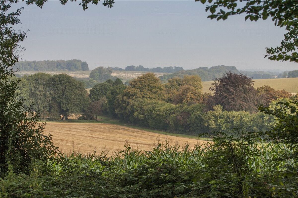 house for sale in Froyle Road, Shalden, Alton, Hampshire, GU34