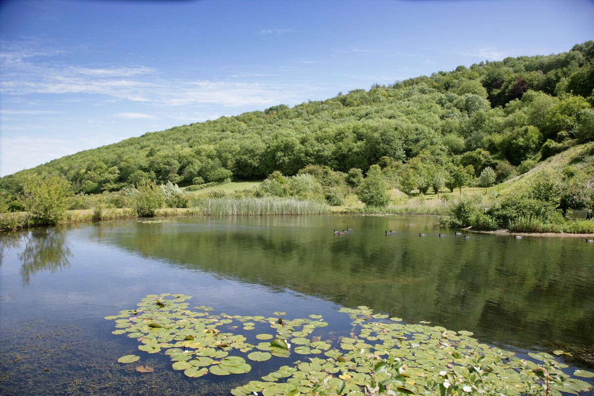 house for sale in Lime Kiln House, Lanchards Lane, Shillingstone