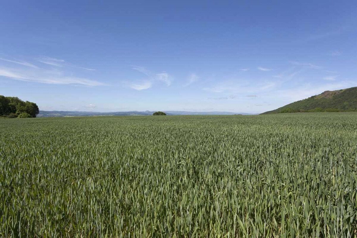 house for sale in Lydebrook Farm, Coalmoor Road, Little Wenlock