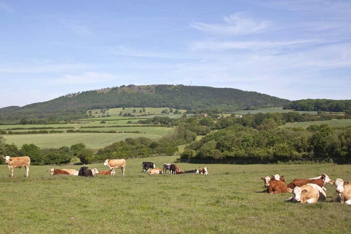 house for sale in Lydebrook Farm, Coalmoor Road, Little Wenlock
