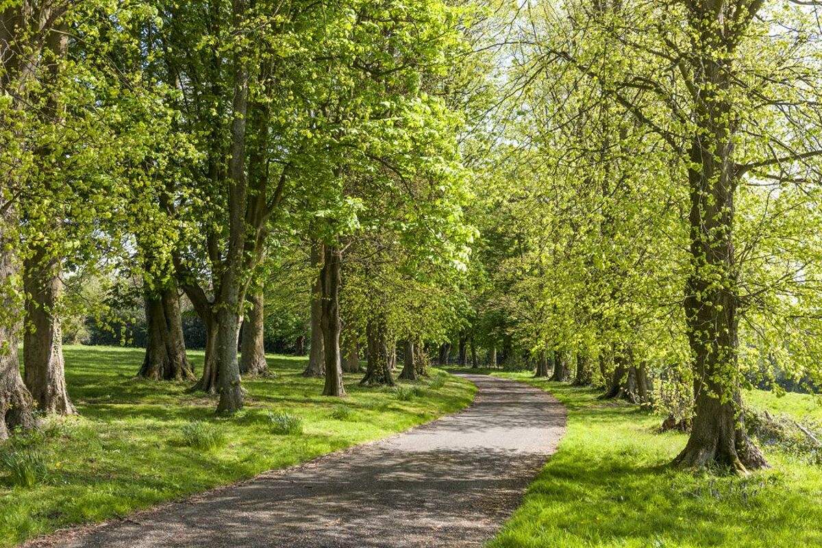 house for sale in Church Street, Old Heathfield, Heathfield, East