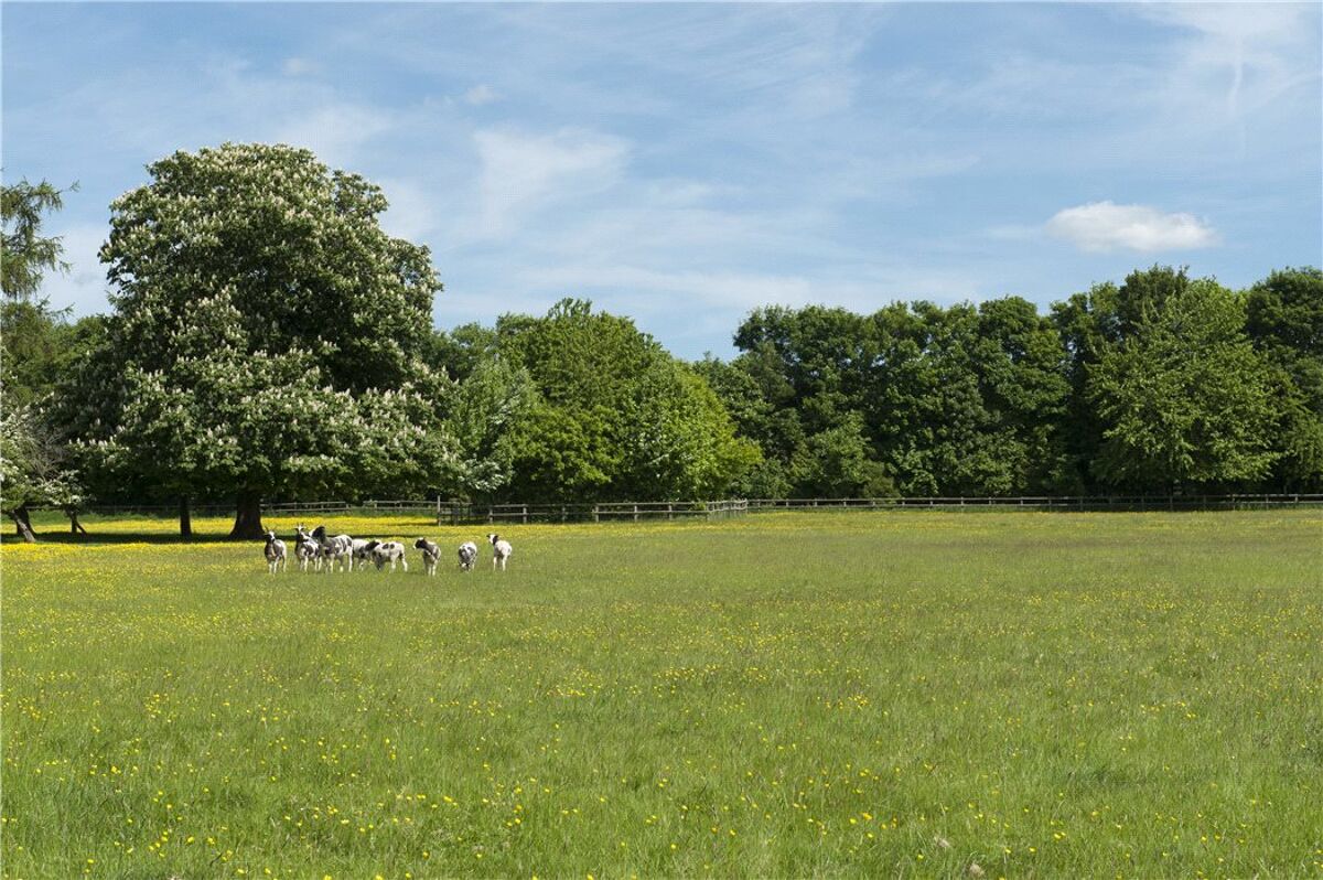 house for sale in Old London Road, Ewelme, Wallingford, Oxfordshire