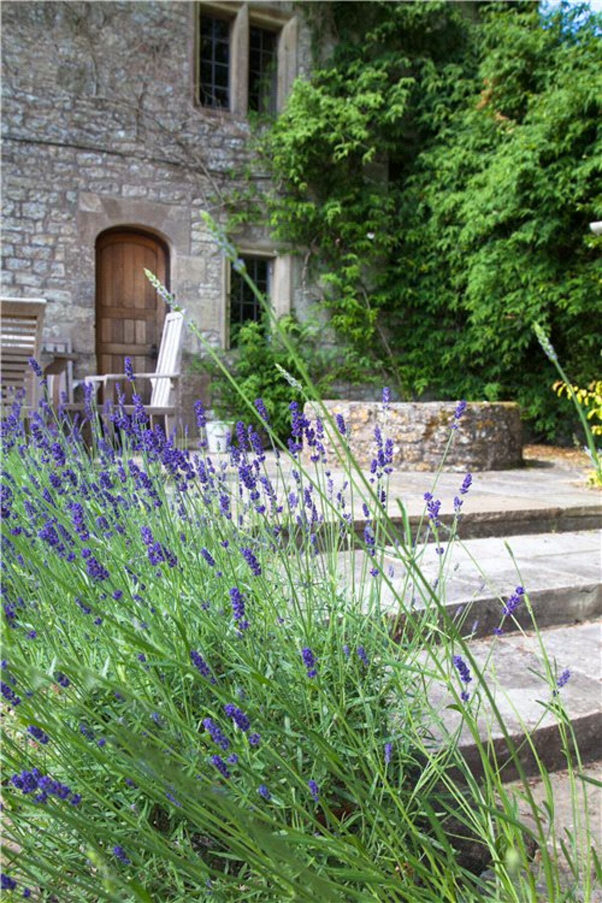 house for sale in Church Street, Mere, Warminster, Wiltshire, BA12 CHO150039 Knight Frank