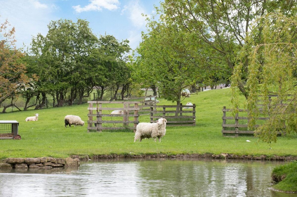 house for sale in Rokeby, Barnard Castle, Durham, DL12 CHO150108