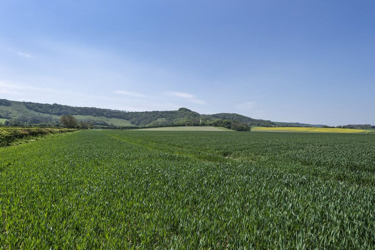 house for sale in Allington Farm, Allington Lane, Offham, Lewes, East