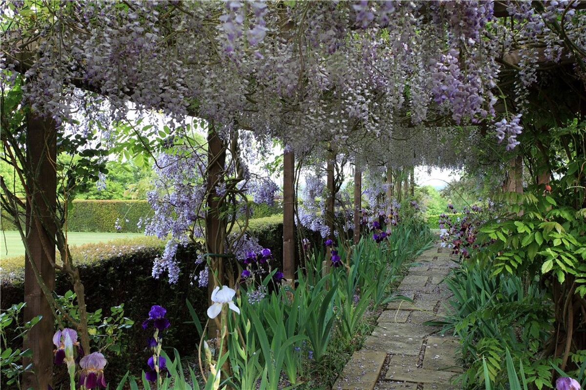 house for sale in Neb Lane, Oxted, Surrey, RH8 CHO170128 Knight Frank