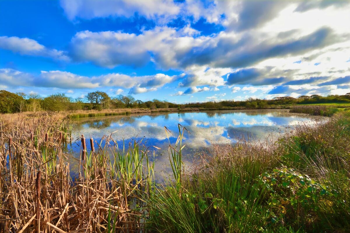 house for sale in Launcells, Bude, Cornwall, EX23 CHO170327 Knight Frank