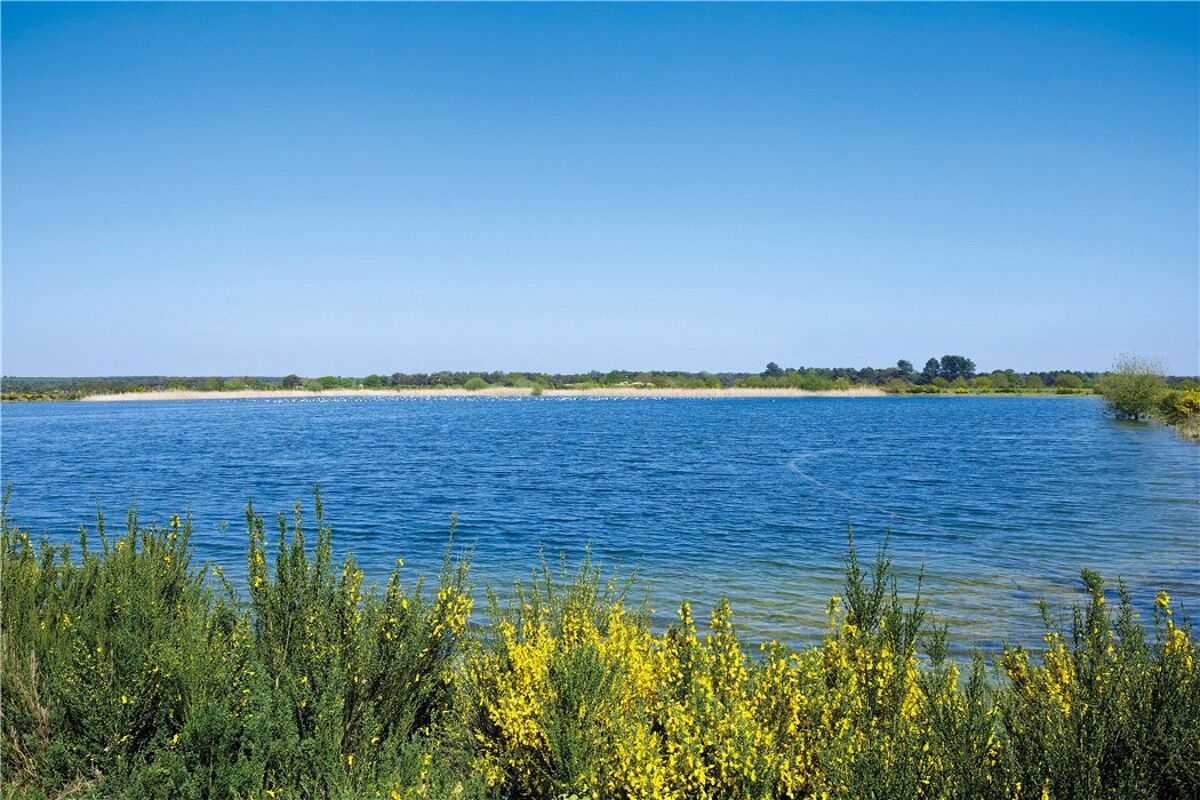 sporting estate for sale in Sutton, Woodbridge, IP12 CHO180117