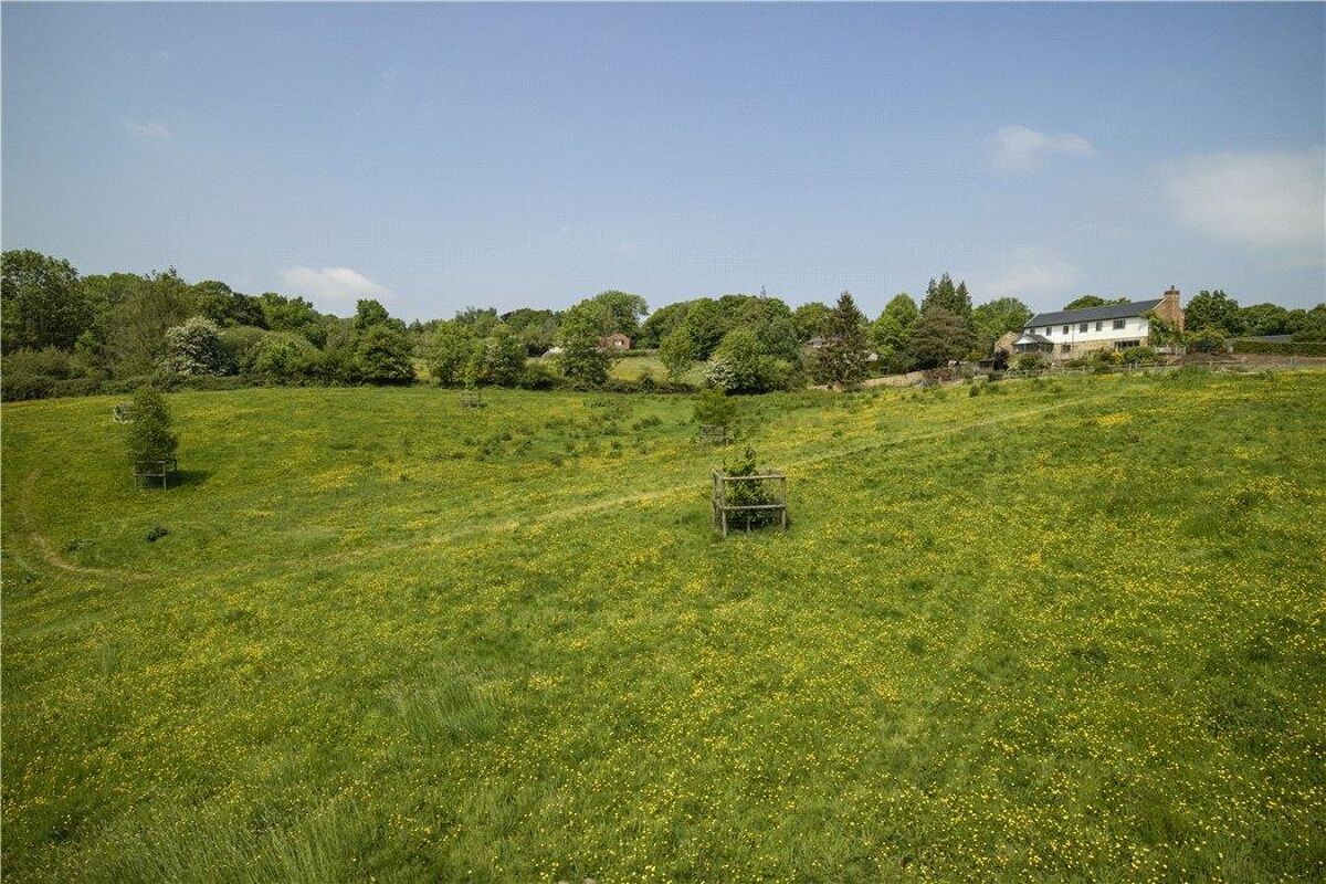 Immobilien zum Kauf Rotherfield Lane, Mayfield, East Sussex, TN20