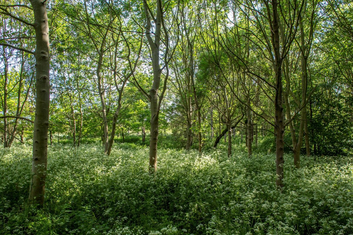 Farm/Estate for sale in Ogbourne St. Andrew, Marlborough, Wiltshire