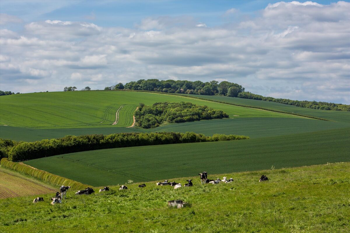 Farm/Estate for sale in Ogbourne St. Andrew, Marlborough, Wiltshire