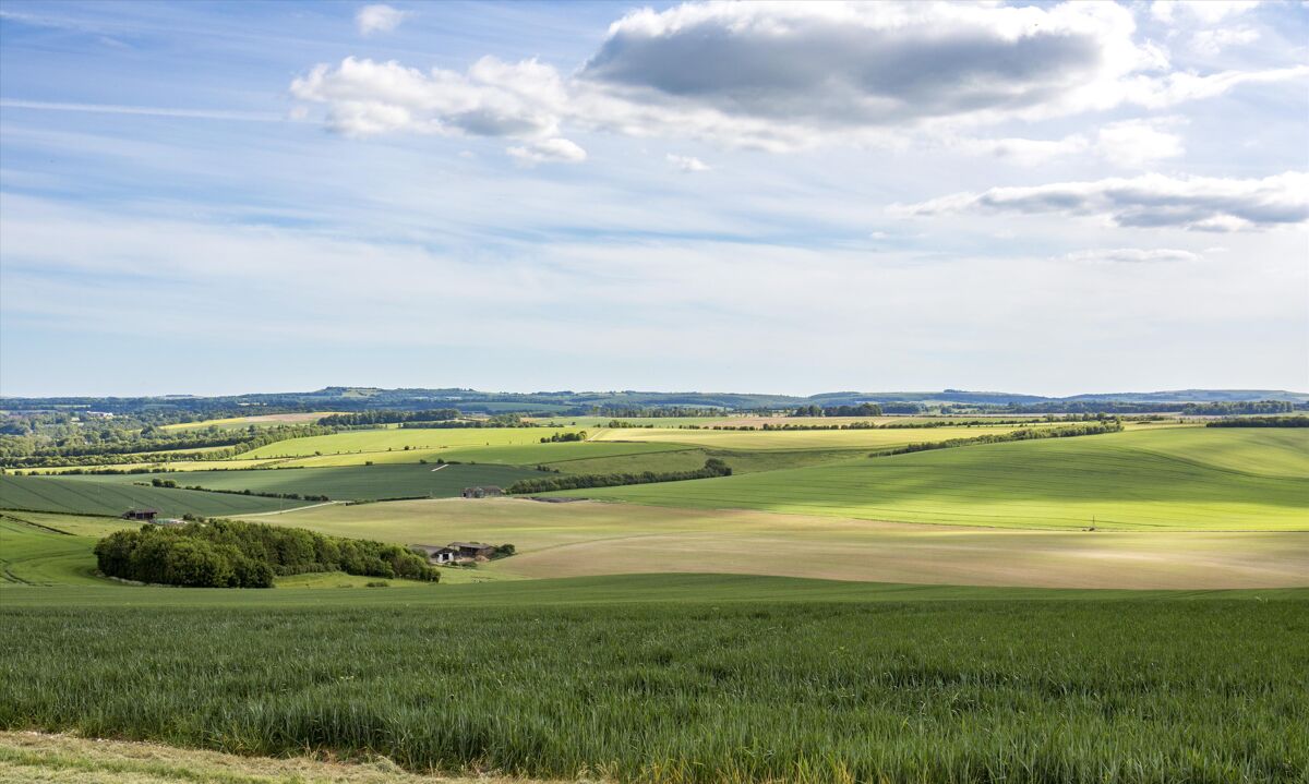 Farm/Estate for sale in Ogbourne St. Andrew, Marlborough, Wiltshire