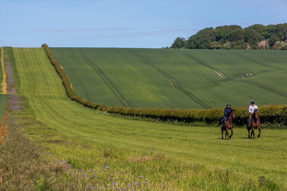 Farm/Estate for sale in Ogbourne St. Andrew, Marlborough, Wiltshire