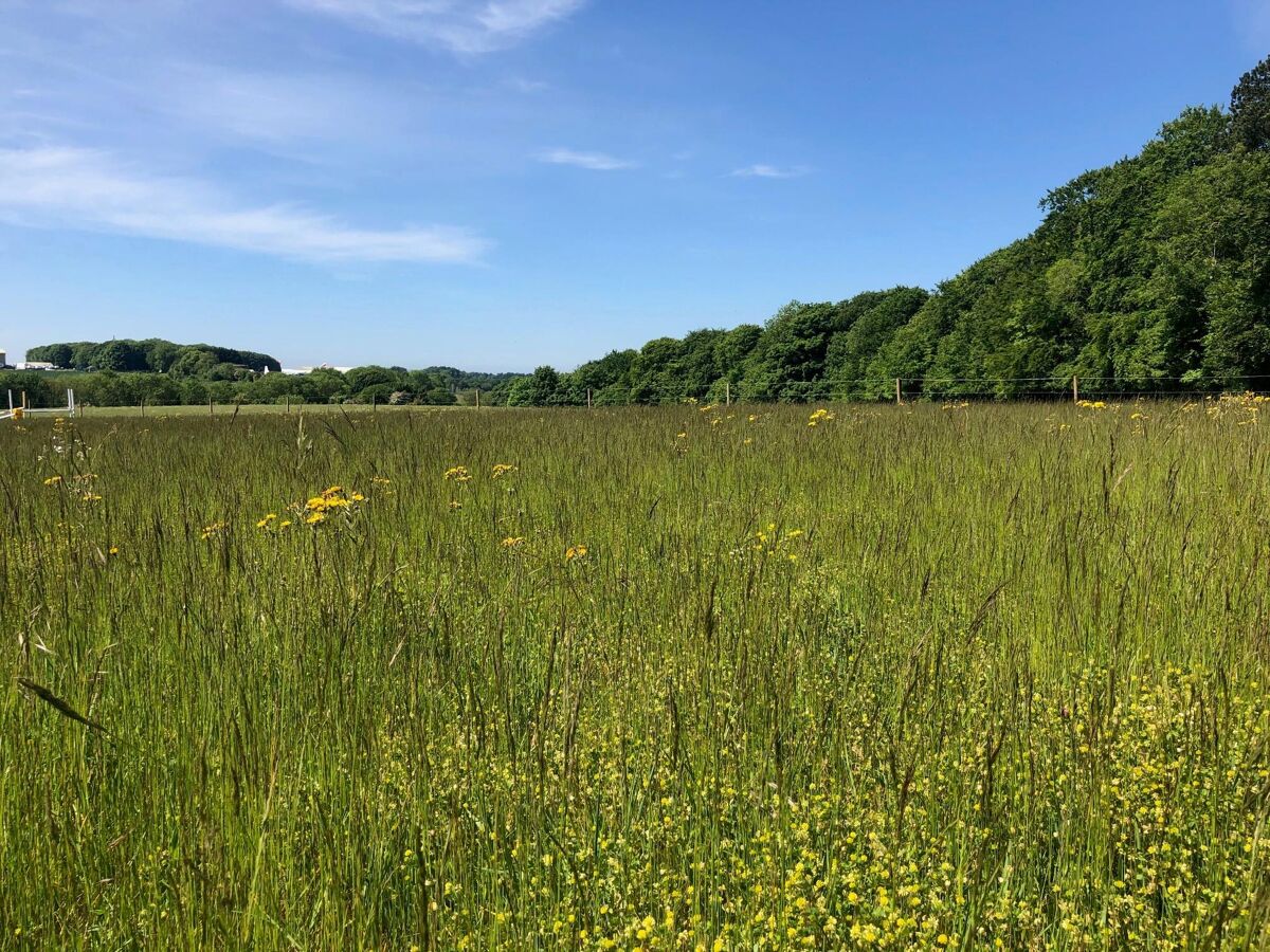 house for sale in Tarlton, Cirencester, GL7 CIR012072928 Knight Frank