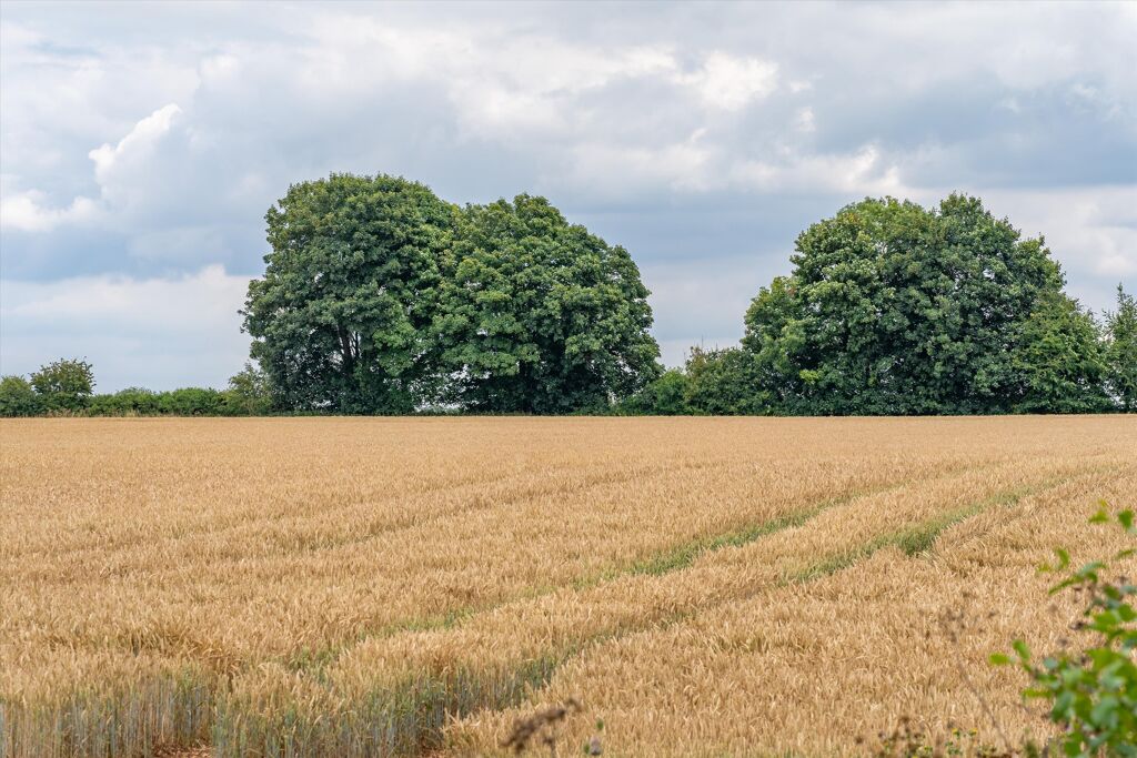 Image of Land at Ashley (Lot3), Tetbury, Gloucestershire, GL8