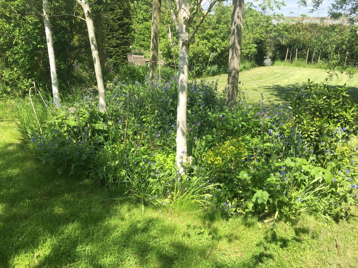 house for sale in High Street, Bourn, Cambridge, Cambridgeshire, CB23