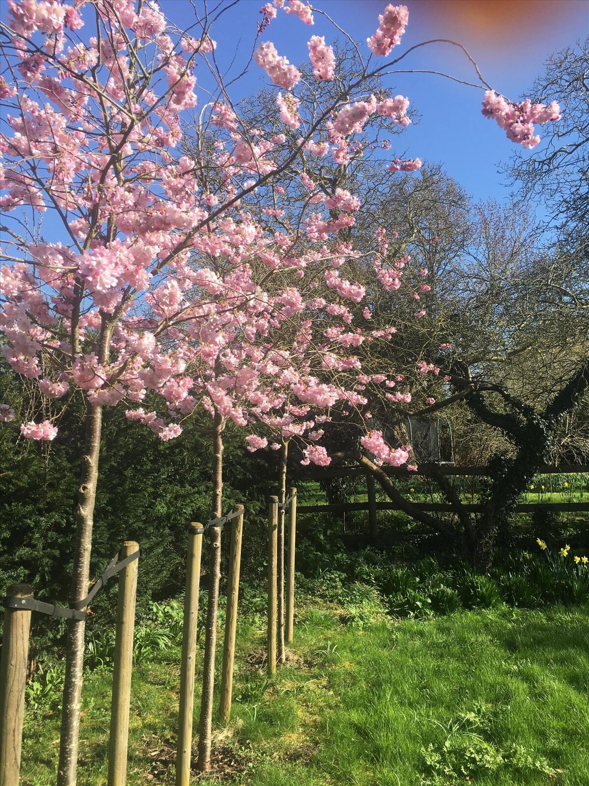 house for sale in High Street, Bourn, Cambridge, Cambridgeshire, CB23