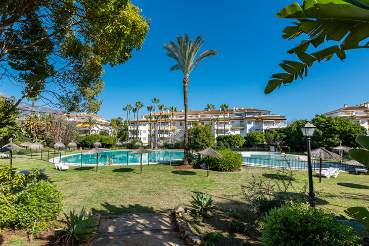 Picture of La Dama de Noche, Marbella, Malaga