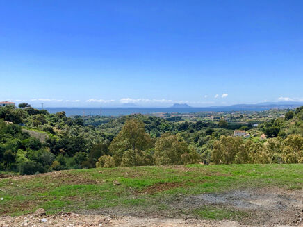 Picture of Land for sale.