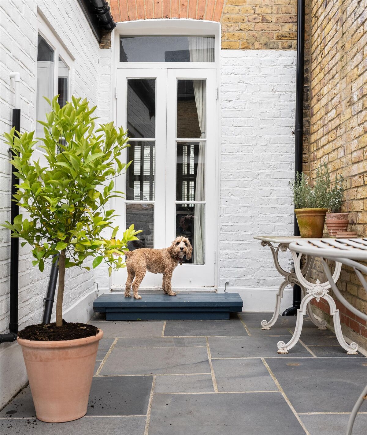 house for sale in Silvester Road, East Dulwich, London, SE22