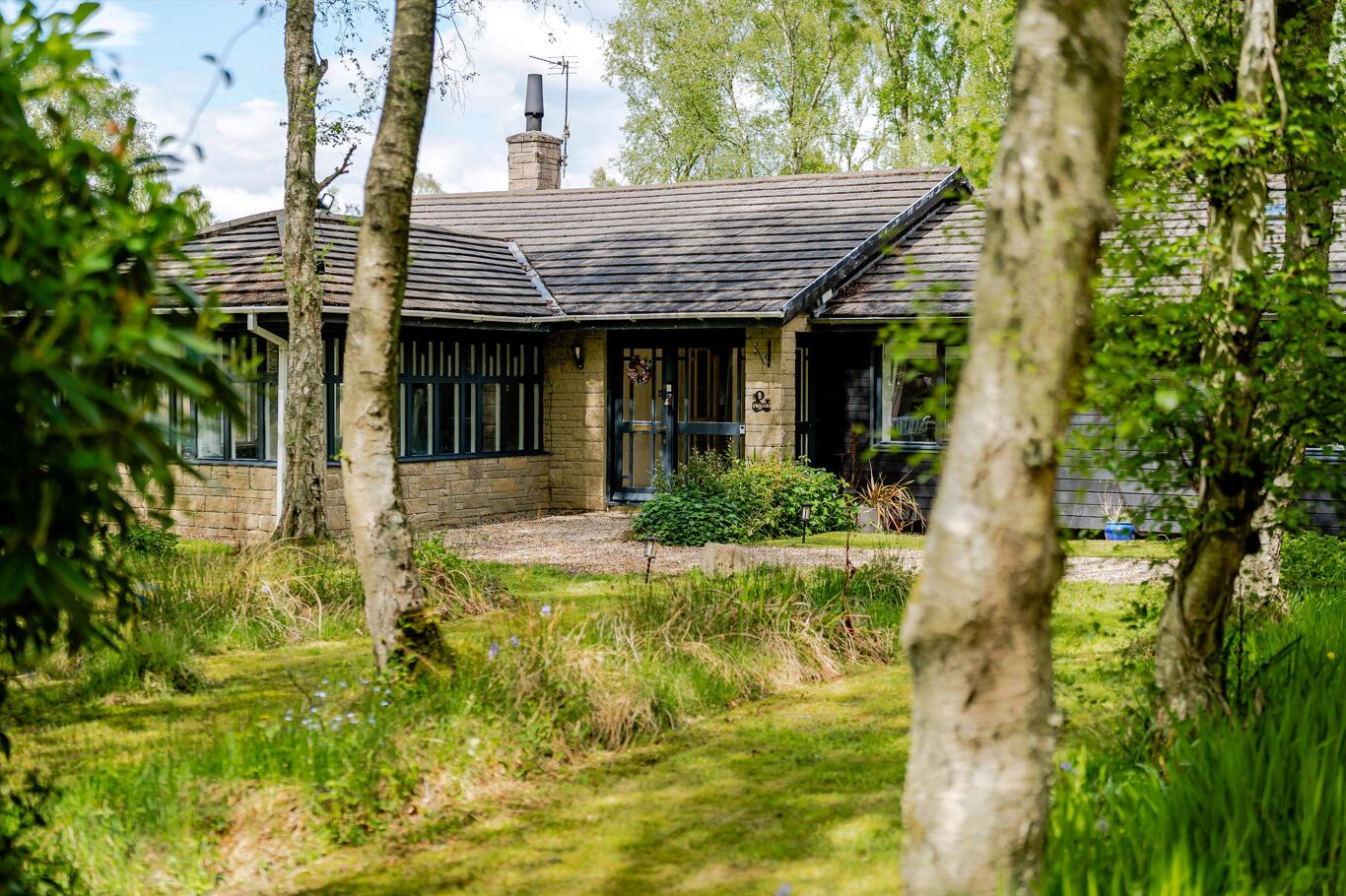 Image of Tranwell Woods, Morpeth, Northumberland NE61