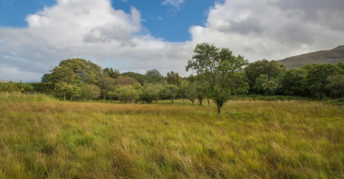 house for sale in Craignure, Isle of Mull, Argyll and Bute, PA65