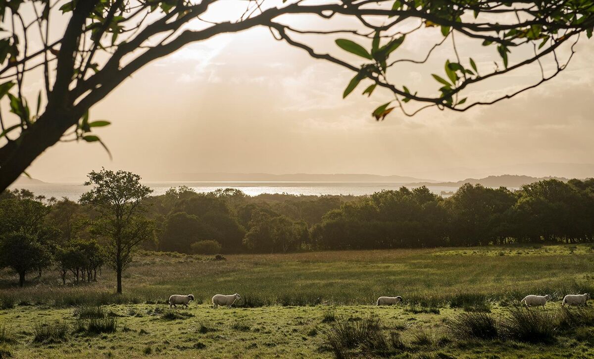 house for sale in Craignure, Isle of Mull, Argyll and Bute, PA65