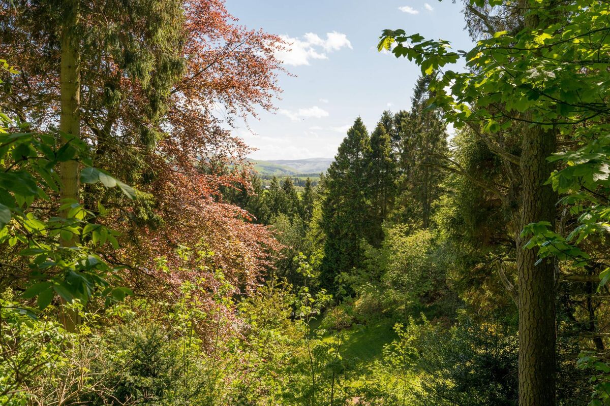 house for sale in Carlops Road, West Linton, Scottish Borders, EH46 EDN012128492 Knight Frank