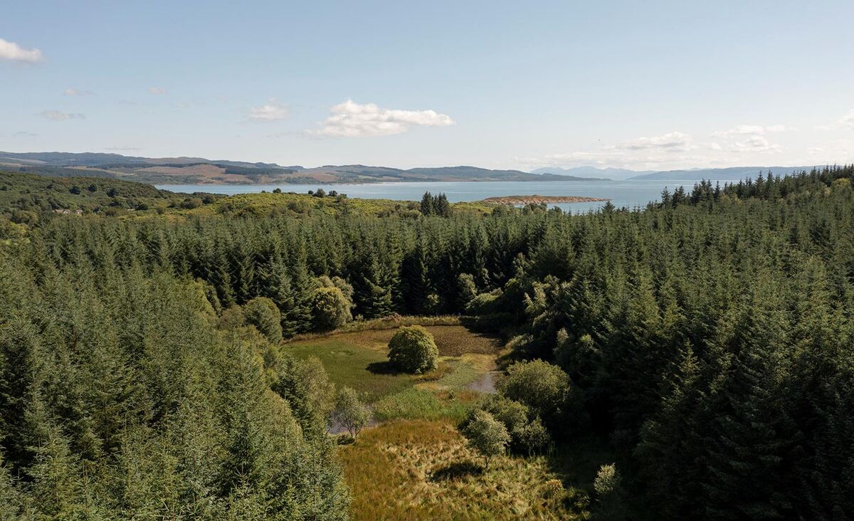 estate for sale in Castleton Estate, Lochgilphead, Argyll, PA31