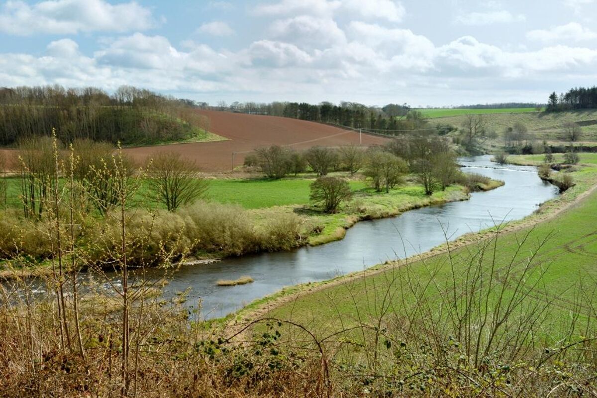 house for sale in Chirnside, Berwickshire, TD11 EDN012143333 Knight