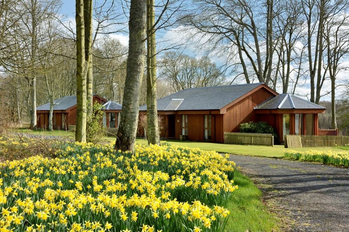 house for sale in Chirnside, Berwickshire, TD11 EDN012143333 Knight