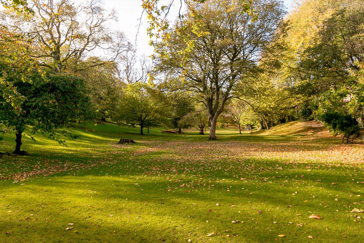 house for sale in Nelson Street, Edinburgh, EH3 EDN012146604 Knight