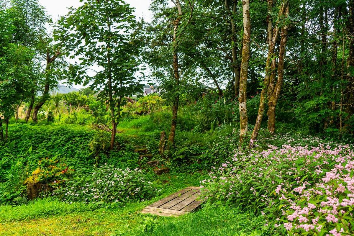 house for sale in Port Appin, Appin, Argyll and Bute, PA38