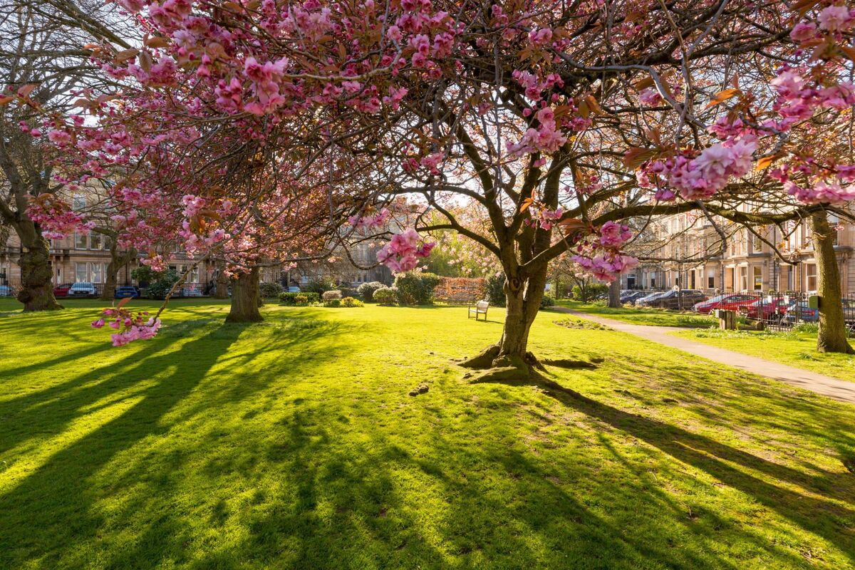 house for sale in Drumsheugh Gardens, Edinburgh, EH3 EDN012219831