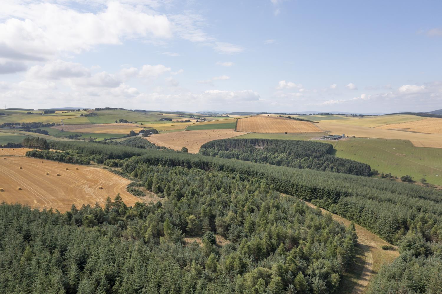 Turriff