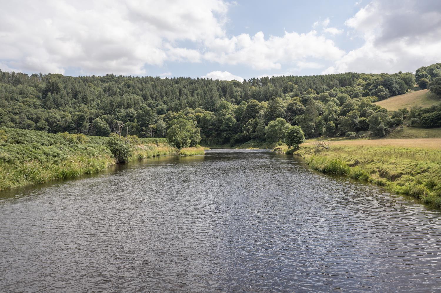 Turriff