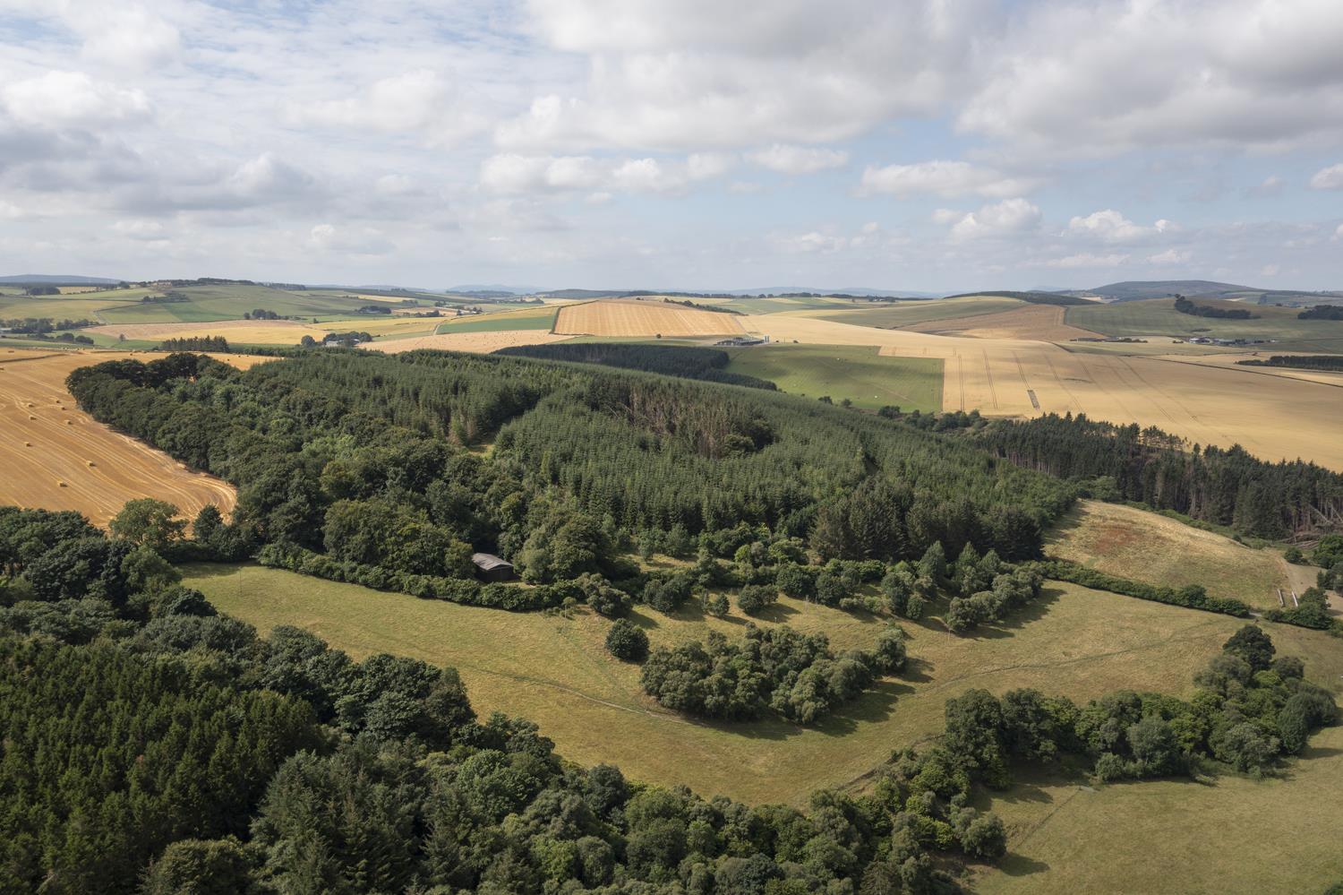 Turriff