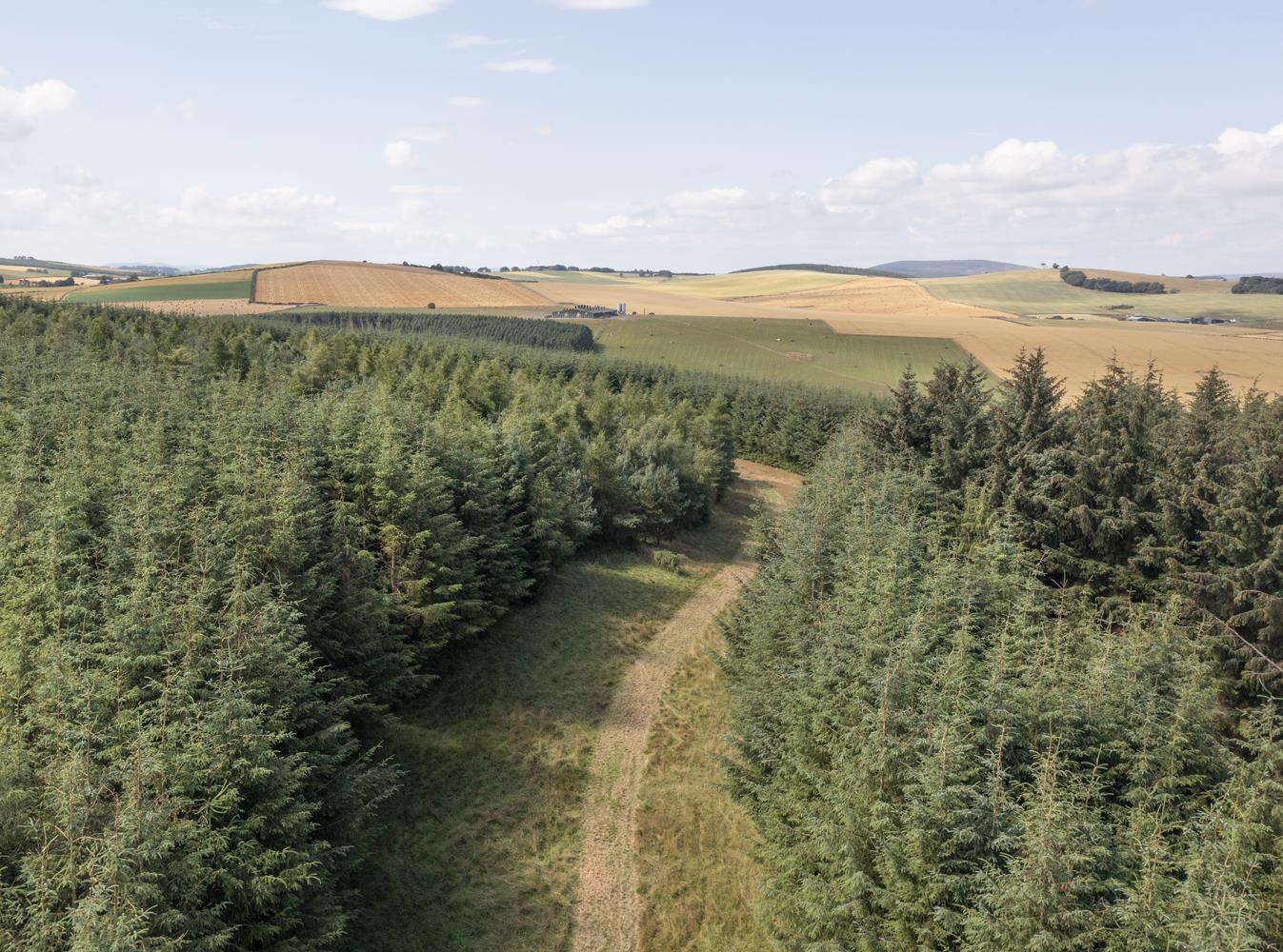 Turriff