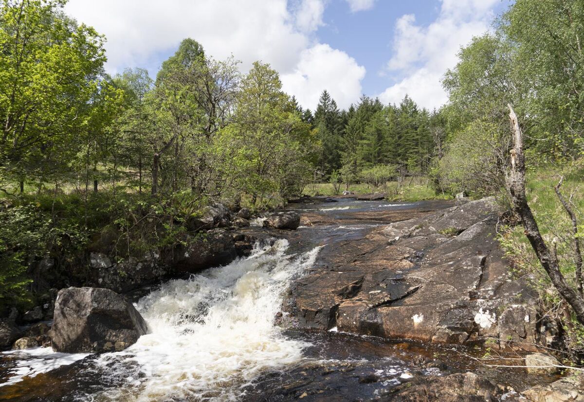 cottage for sale in Bonawe, Oban, Argyll and Bute, PA35 EDN012286408