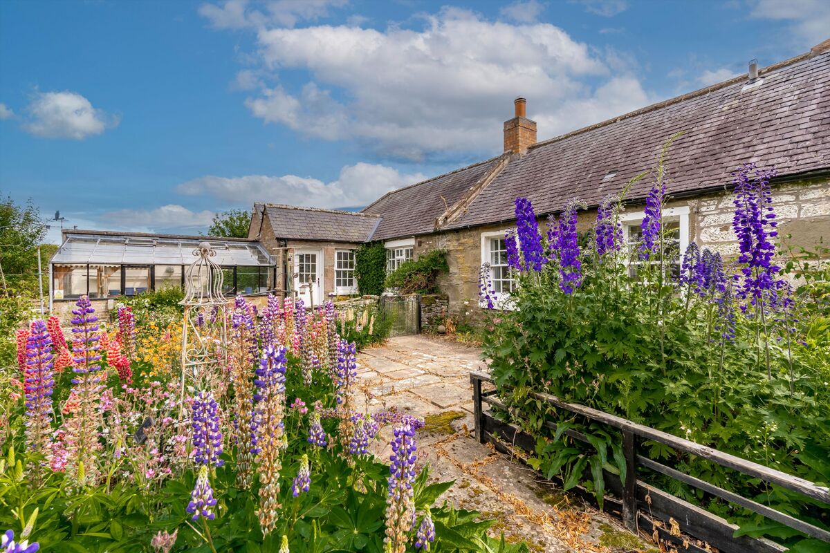 house for sale in Arbroath, Angus, DD11 EDN012363027 Knight Frank