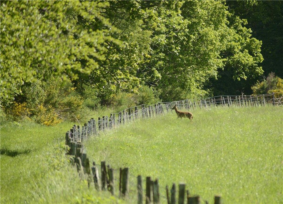 house for sale in Croy, Inverness, InvernessShire, IV2 EDN120086