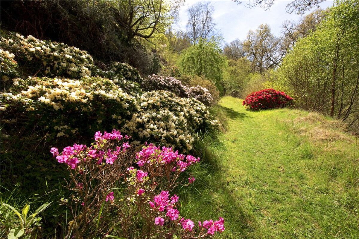 house for sale in Duror, Appin, Argyll, PA38 EDN130036 Knight Frank