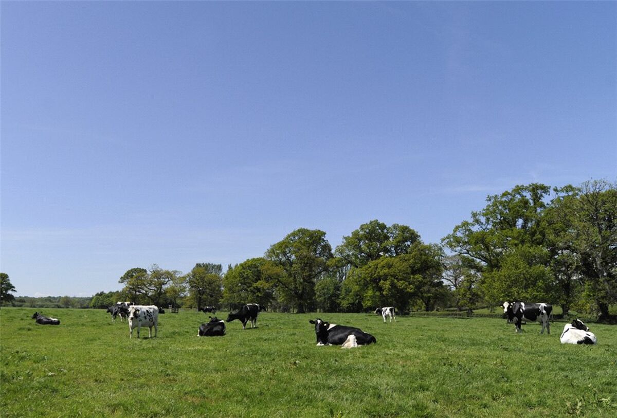 farm/estate for sale in Lanercost, Brampton, Cumbria, CA8 EDN150060