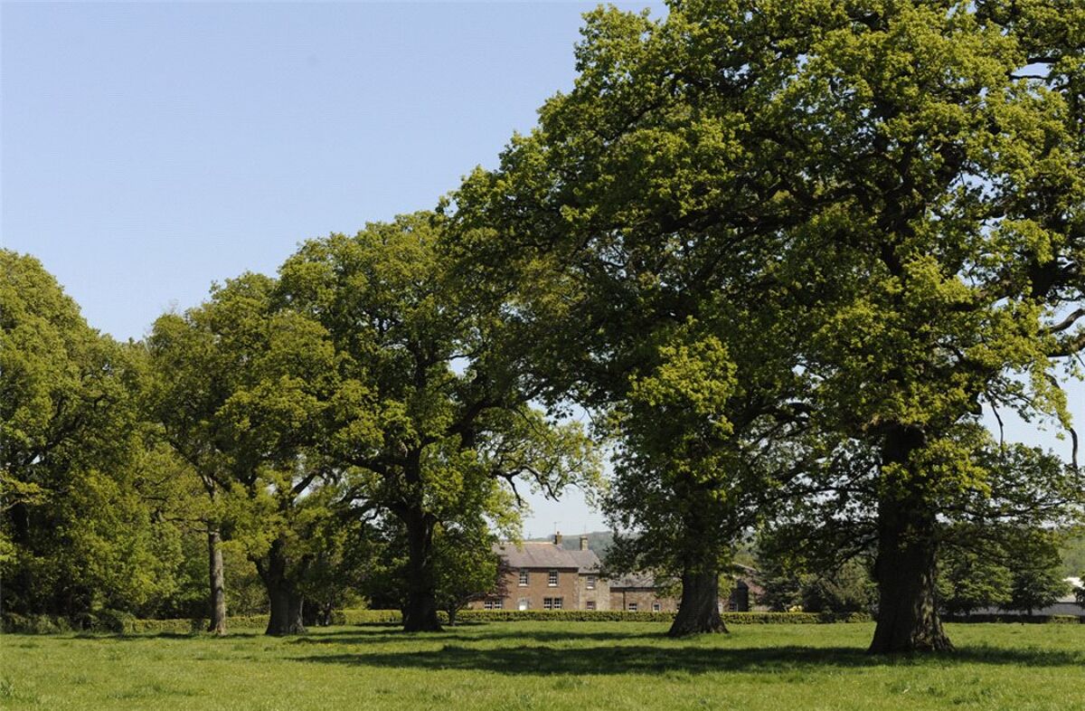 farm/estate for sale in Lanercost, Brampton, Cumbria, CA8 EDN150060