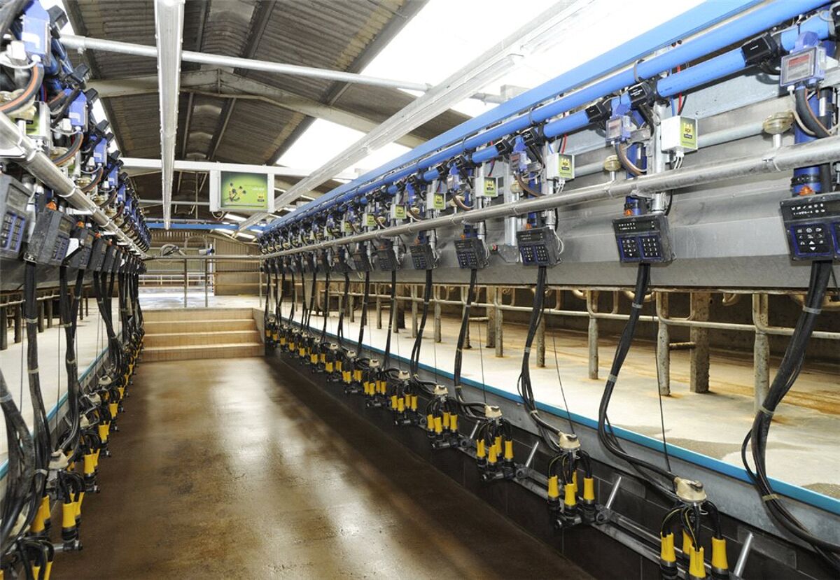 farm/estate for sale in Lanercost, Brampton, Cumbria, CA8 EDN150060